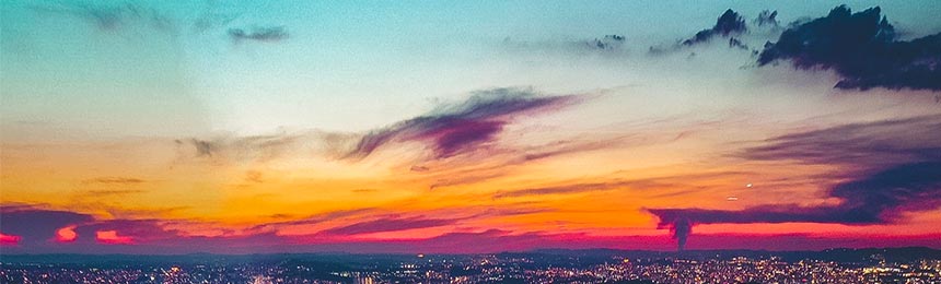 苍南茶虫网_苍南品茶